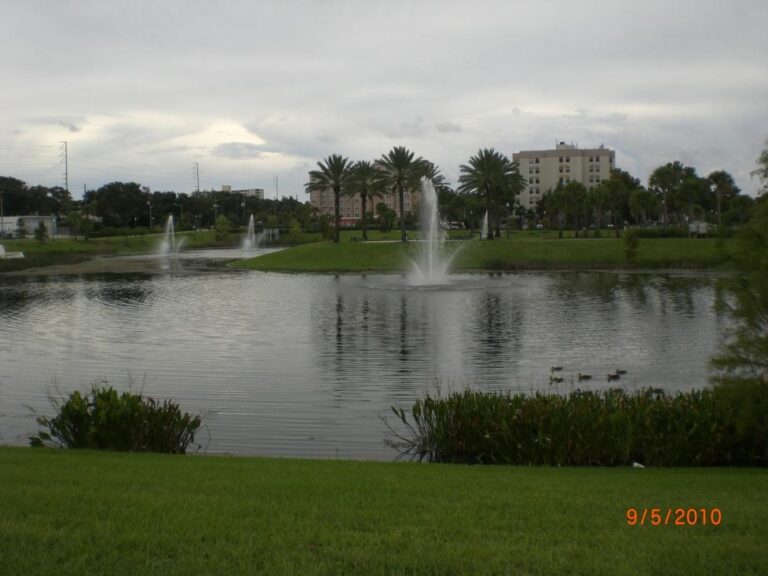 Town Pond (Prospect Park), Clearwater