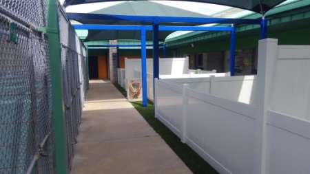 Hillsborough County Animal Services, Tampa